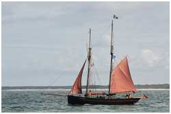 Hanse Sail 2012